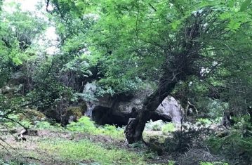 نوشدارو پس از مرگ «عزیز»/ ثبت ملی غار طبیعی پیرمرد جنگلی گیلان